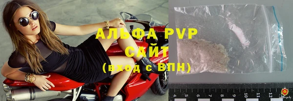 каннабис Новозыбков