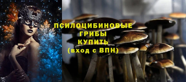 индика Нягань