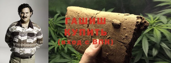 стаф Ельня