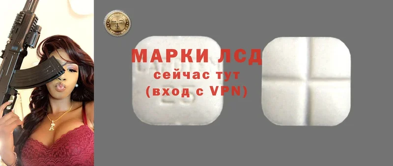 где продают наркотики  Кудрово  ЛСД экстази ecstasy 