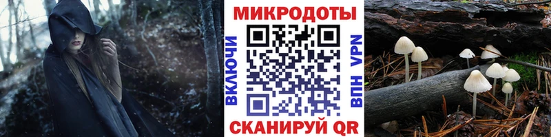 купить наркотики сайты  Кудрово  Псилоцибиновые грибы Psilocybine cubensis 