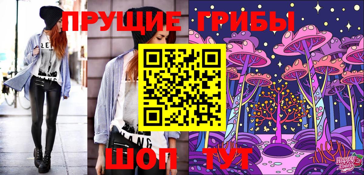 Галлюциногенные грибы Psilocybe  Кудрово 