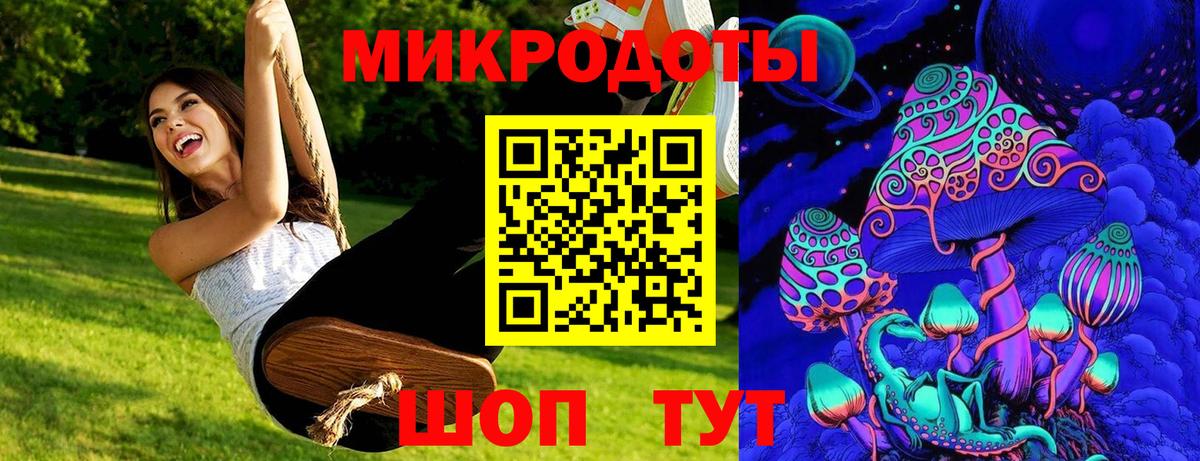 Псилоцибиновые грибы мицелий Кудрово